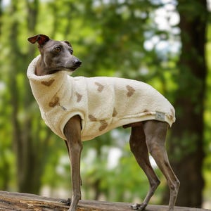 Könnte beinhalten: Ein cremefarbener Fleece-Hundepullover mit einem sich wiederholenden Muster aus kleinen braunen Herzen. Das Kleidungsstück hat einen hohen Kragen und ein kleines rechteckiges Markenetikett an der Seite, getragen von einem grauen Windspiel.