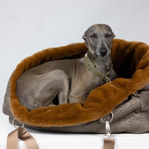 Op de afbeelding: Een grijze Italiaanse windhond met een licht olijfgroene halsband rust in een gestructureerde huisdierdrager. De drager heeft een getextureerde donkergrijze buitenkant en een zachte, pluche, roestkleurige binnenvoering met zilverkleurige hardware.