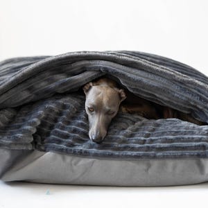 May include: A gray dog bed with a plush, ribbed fabric cover. The dog bed has a raised edge and a soft, comfortable interior. A small gray dog is curled up inside the bed, sleeping.