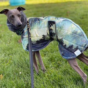 Forest winter coat