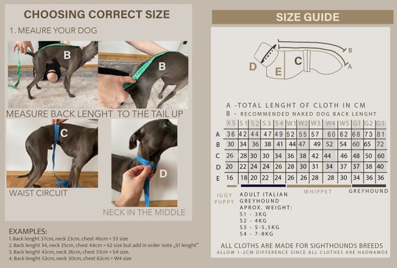 How to measure greyhound for coat online