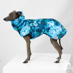 Op de afbeelding: Een grijze hond draagt een blauwe hondenjas met bloemenprint en een capuchon. De jas heeft een zak en een klein logo-label. De hond staat op een wit oppervlak tegen een witte achtergrond.