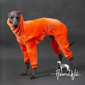 S3 oranje bont onesie