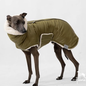 Peut inclure: Un manteau vert olive pour chien avec un col et une bordure crème et moelleux. Le manteau est matelassé et possède une petite poche sur le côté. Le chien est un lévrier, sur fond blanc.