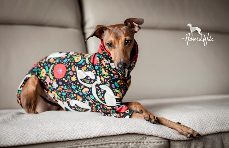 W4 Squirrels Vest long jumper Greyhound clothing Etsy