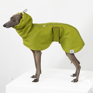 Peut inclure: Un manteau vert clair pour chien avec capuche, conçu pour s'adapter à un chien. Le manteau a une bande réfléchissante le long du dos et un petit patch à l'arrière. Le chien est un lévrier, debout sur une surface blanche.