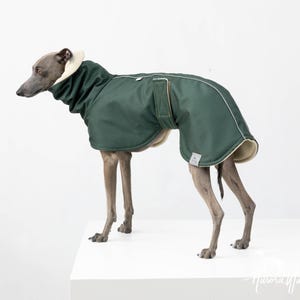Puede incluir: Un abrigo verde oscuro para perros con forro y cuello de forro polar color crema. El abrigo está diseñado para una raza de perro esbelta, con un ajuste a medida y ribete blanco. El perro está sobre una superficie blanca.