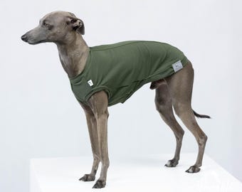 Maglietta rinfrescante con protezione UV SPF50 e protezione dagli insetti, disponibile in molti colori.