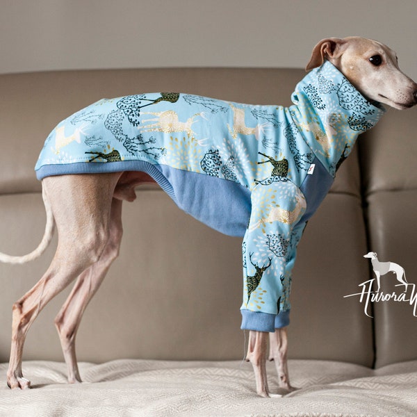 S4 Vest long jumper Italian Greyhound clothing