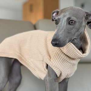 Sweater vest without sleeves