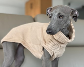 Sweater vest without sleeves