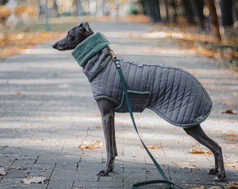 Gray coat with BELLY WARMER