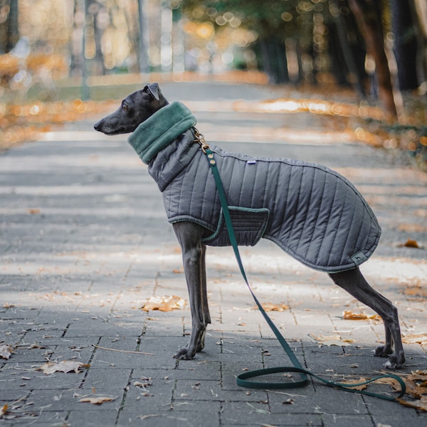 Gray coat with BELLY WARMER