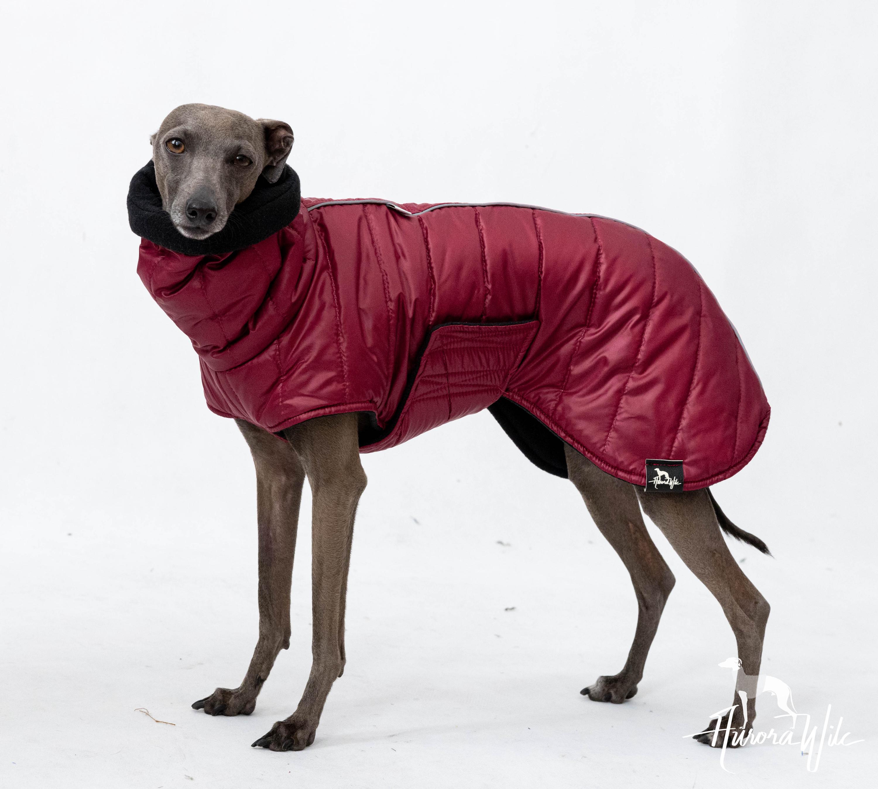 gutes hundefutter fr senioren Hundefutter Senior Pferd (Soft)  Hypoallergen & Getreidefrei  Tales &  Tails