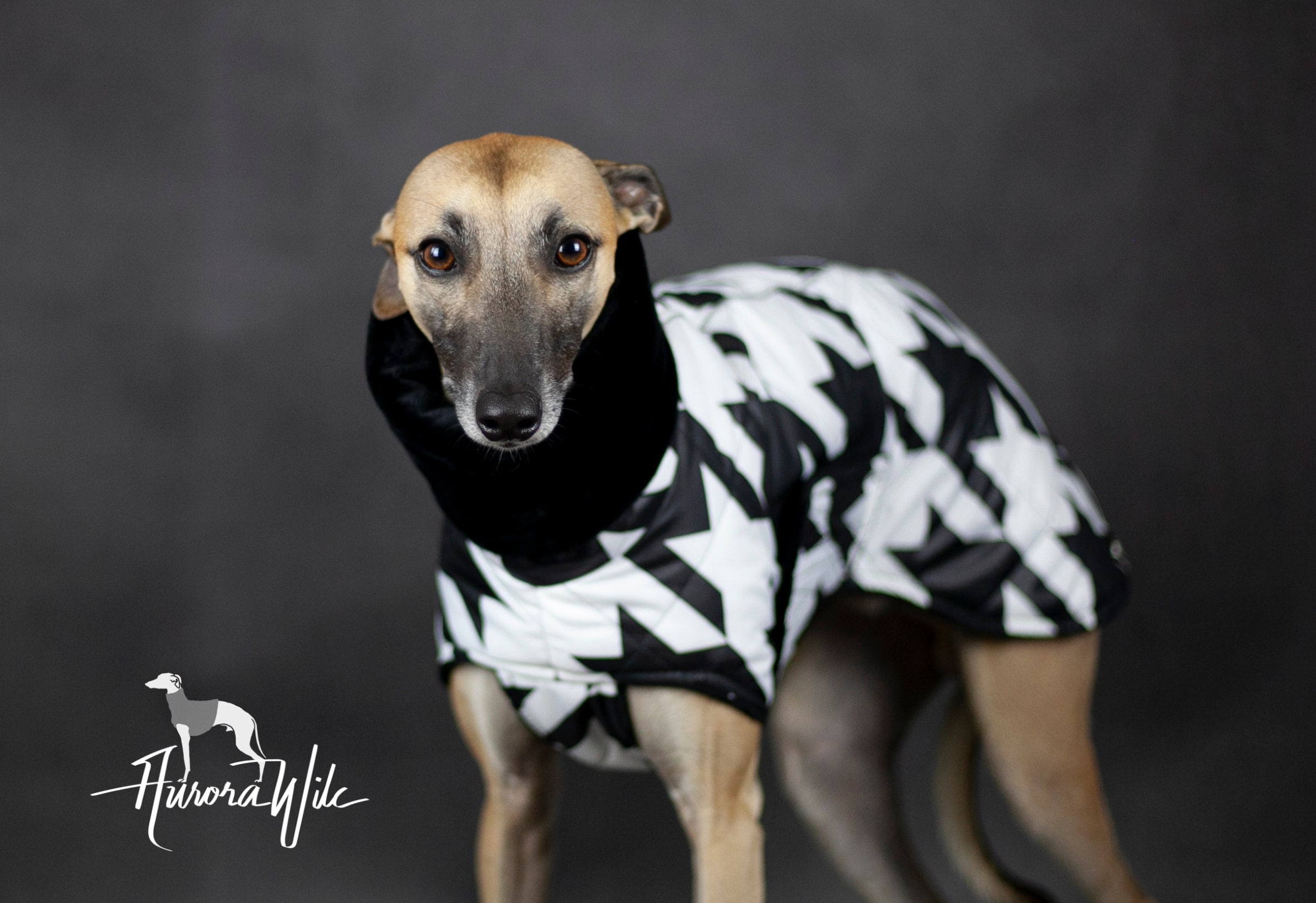 Houndstooth Dog Coat: Waterproof Fleece Lined, Handmade