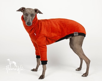 Könnte beinhalten: Ein grauer Italienischer Windhund trägt einen leuchtend orangefarbenen Fleece-Hundepullover mit schwarzem Besatz. Der Pullover hat einen hohen Kragen und lange Ärmel.