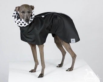Black Dog Raincoat: Waterproof with Cotton Collar