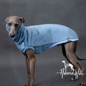Könnte beinhalten: Ein hellblauer Fleece-Hundepullover mit hohem Kragen und einem Logo mit der Aufschrift "Aurora Wilde". Der Pullover ist auf einem Windhund.