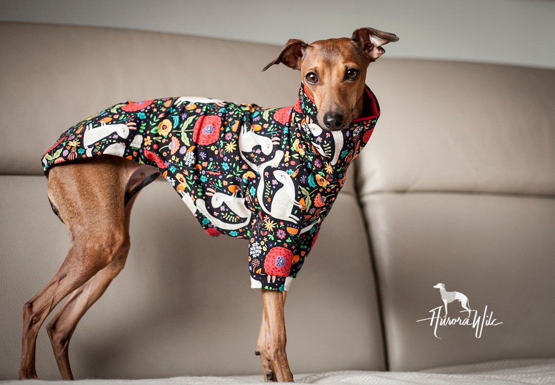 W4 Squirrels Vest Long Jumper Greyhound Clothing Etsy