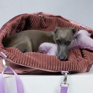 Op de afbeelding: Een oudroze fluwelen huisdierentas met een donker mauve corduroy voering. Een grijze Italiaanse windhond rust binnenin naast een pluche, lichtpaars botvormig speeltje. De tas is voorzien van zilverkleurige metalen hardware en lichtpaarse nylon banden.