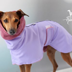 Lawender raincoat