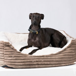 May include: A dark-coated dog wearing a black collar with gold detailing is lying in a plush dog bed. The bed is brown with a ribbed exterior and a cream-coloured, fluffy interior, offering a comfortable space for the pet.