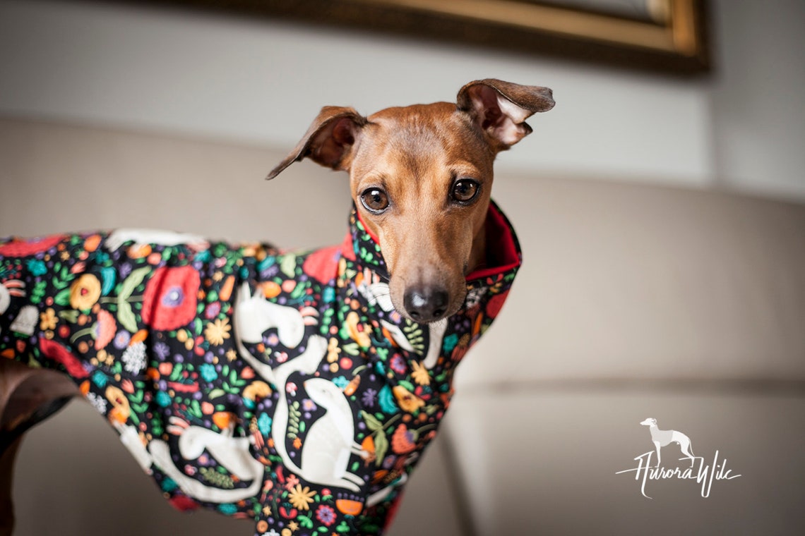 W4 Squirrels Vest Long Jumper Greyhound Clothing Etsy