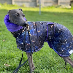 Galaxy Custom greyhounds winter coat Sport