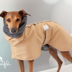 Beige greyhounds coat Sport