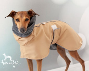 Beige greyhounds coat Sport