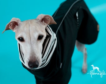Handmade Black Dog Raincoat: Waterproof with Cotton Collar