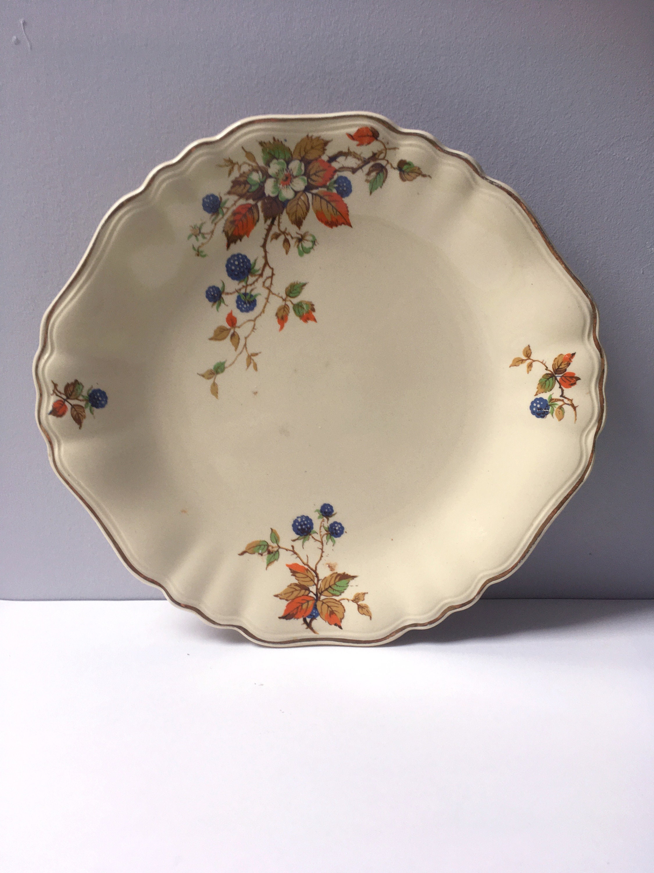 Petit Plat de Présentation, Grande Assiette Vintage. Céramique, Porcelaine Anglaise, Motif Floral. P