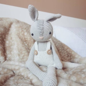 Célestin the bunny / Rabbit *Crochet pattern * crochet pattern * Amigurumi tutorial: English & Francais (PDF File)