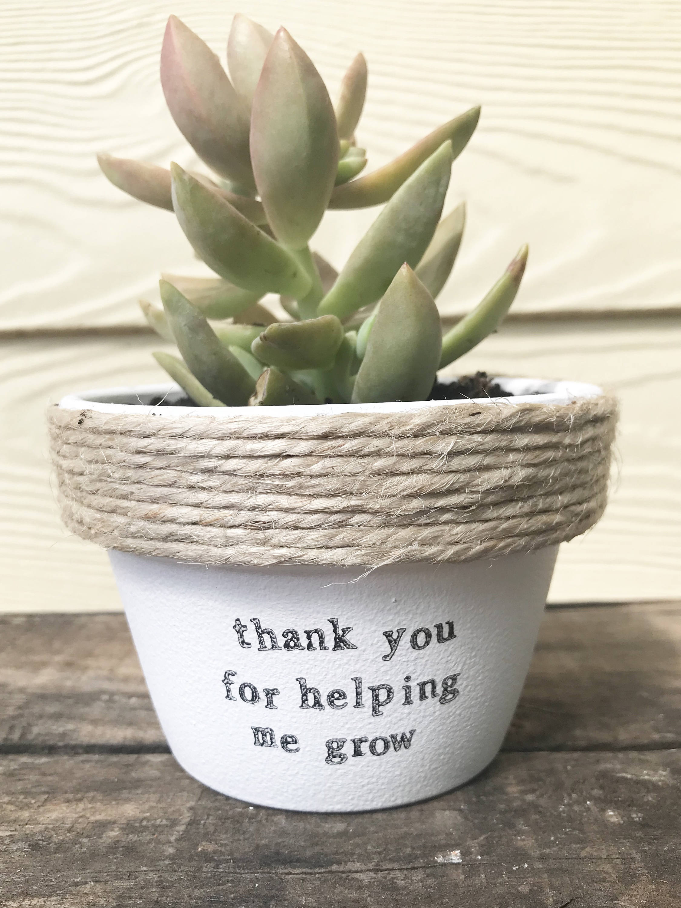 Thank you for helping me grow pot plant with a pun joke Etsy Thank you for helping me grow pot plant with a pun joke Etsy