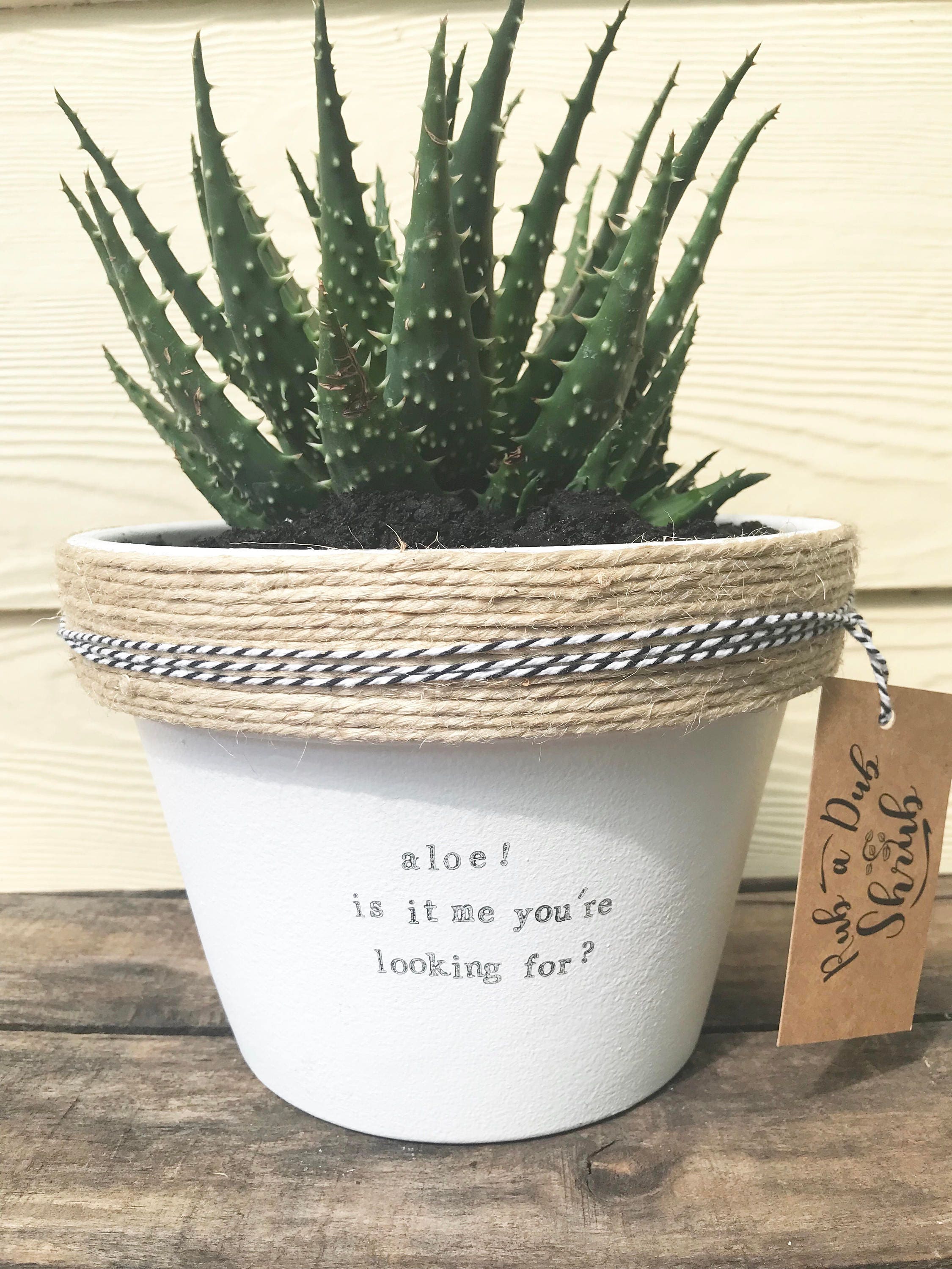 aloe is it me you're looking for funny pot plant with a | Etsy