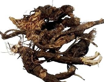 Osha Root (Ligusticum porteri)