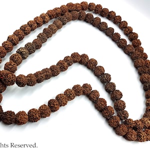 Aghori Rudraksha Prayer Mala (Nepal) - Spiritual rosary rudraksha seed mala lord shiva hinduism