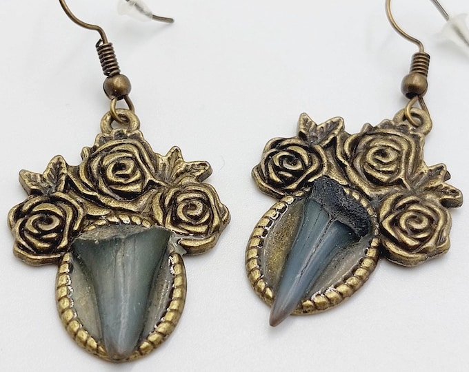 Shark Tooth Earrings - Cabinet of Curiosities