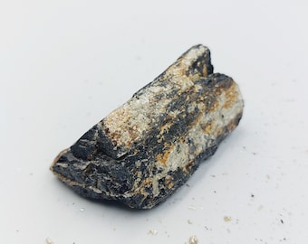 Raw Black Tourmaline with Pyrite Crystals