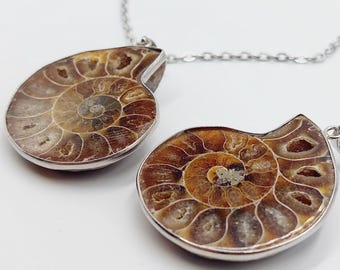 Agatized Ammonite Fossil Pendants Set