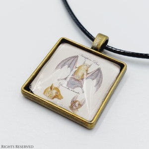 Pode incluir: Um colar com um pingente quadrado de vidro dourado, que apresenta uma ilustração de um morcego vampiro com o texto "Vampire Bat Desmodus rotundus".