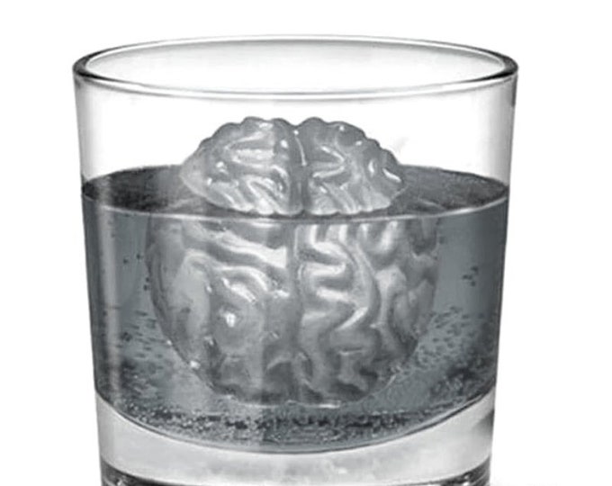 Brain Ice Cube Maker Tray