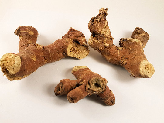 Mandrake, Officinarum Del Mandragora Imagen de archivo - Imagen de