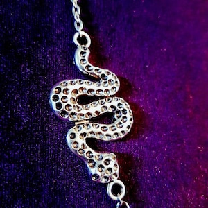 May include: A silver snake chain necklace with a detailed snake pendant. The snake is coiled and has a textured surface.