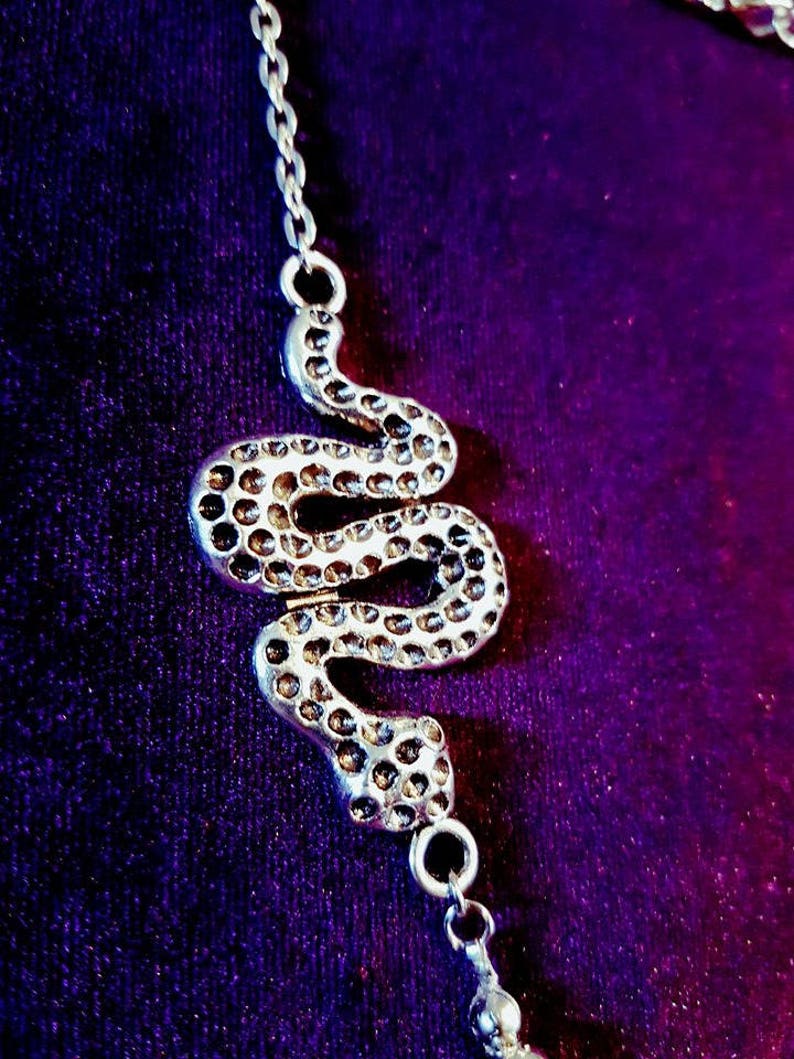 May include: A silver snake chain necklace with a detailed snake pendant. The snake is coiled and has a textured surface.