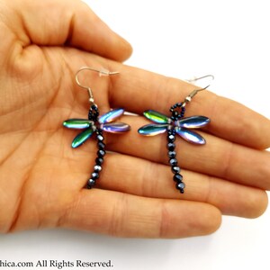 May include: A pair of iridescent dragonfly earrings with black bead accents. The earrings are dangle style and feature a silver hook.