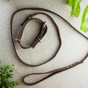 Leather dog collar and leash set,Leather dog collar and leash personalized,Leather dog leash,Leather dog collar with name