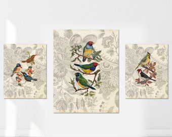 Impression d’art oiseau, oiseaux Vintage impression lot de 3, botanique Home Decor, Vintage moderne, art mural, oiseau antique livre plaque illustration, impression