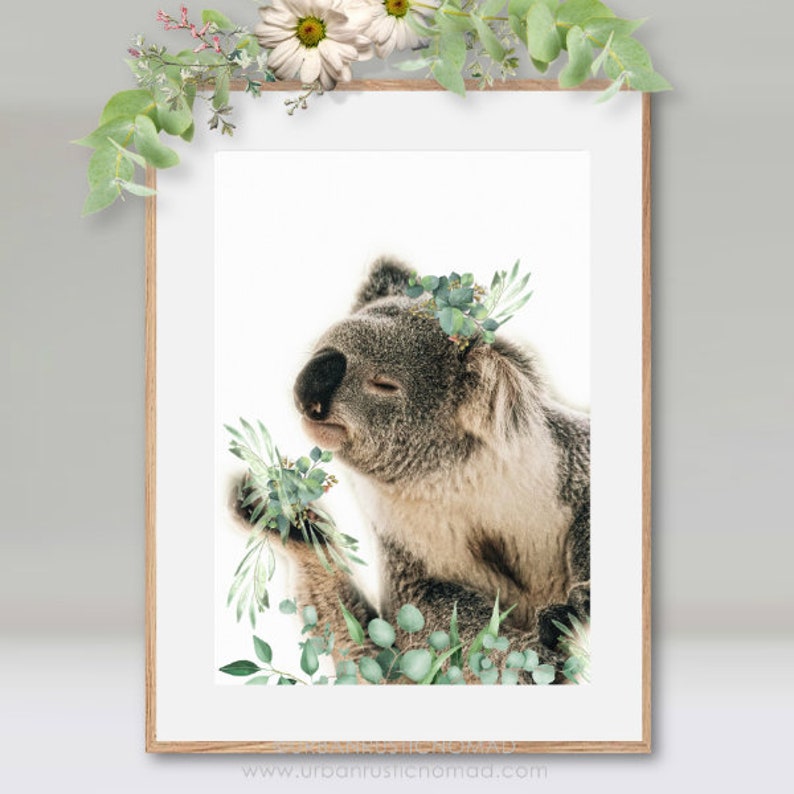 Koala Print Koala Australian Animal Print Wall Art Nursery - Etsy