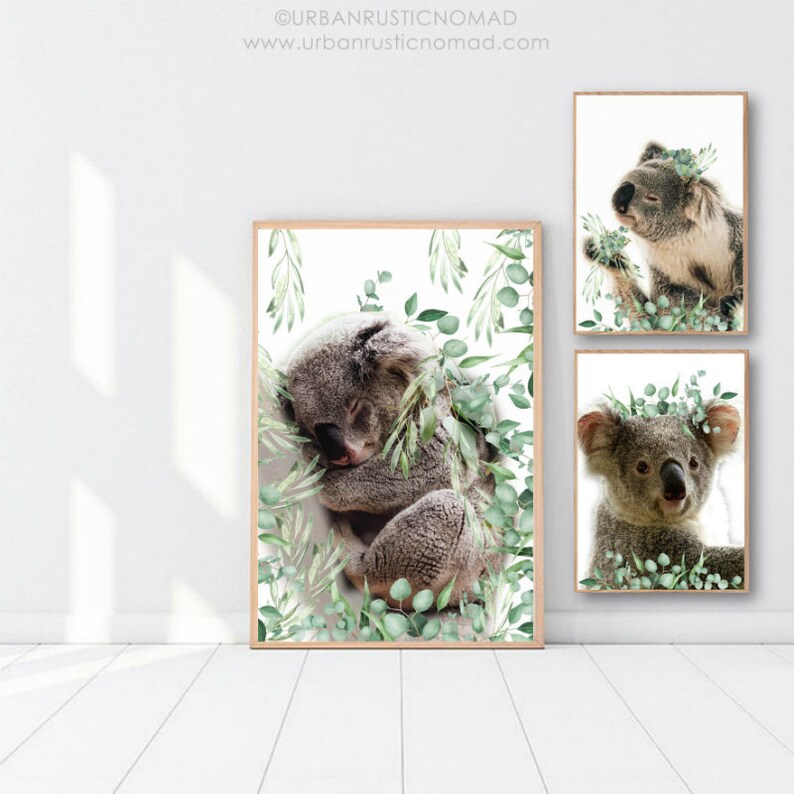Koala Print Koala Australian Animal Print Wall Art Nursery - Etsy